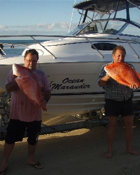 fraser 7kg & 7.5kg reds