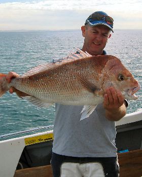 12 pound Snapper