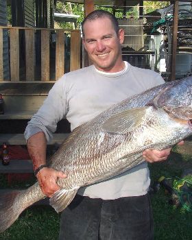 23kg jew, whitsundays