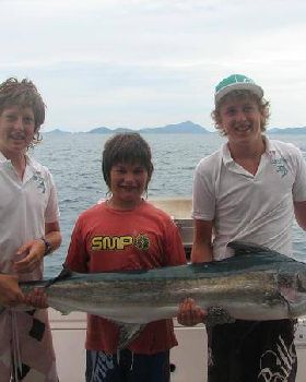 Whitsundays marlin