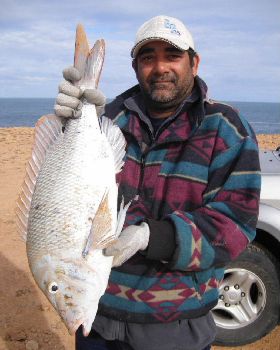 nw snapper