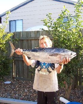 Little Matts Big Fish