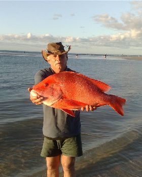 nice red on fraser