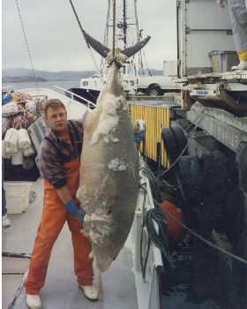 156kg Southern Bluefin Tuna
