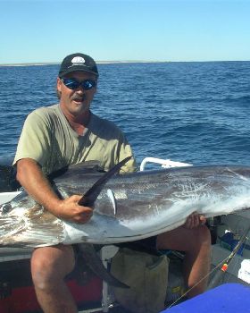 Black Marlin wider than the boat