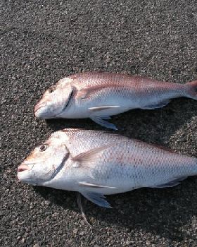 Fishing