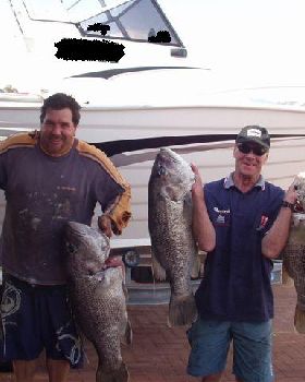 silver snapper
