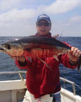 Fresh Tuna