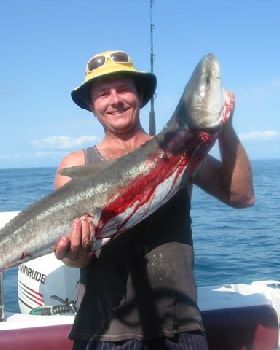 cobia off Morteon island