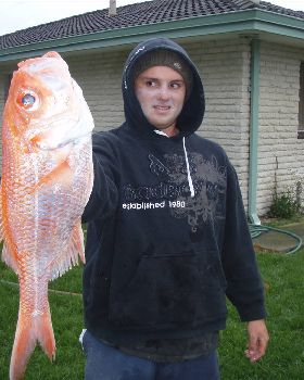 660mm nanny
