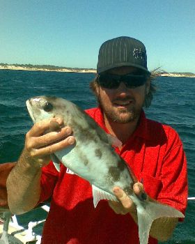 2 sambos 1 easy 1 hard on 4kg bream gear