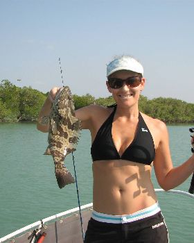 fish from all over