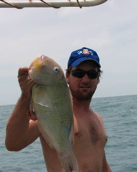 fish from all over
