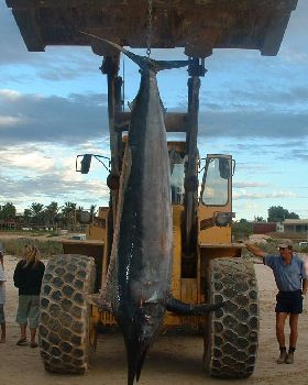 Fishing
