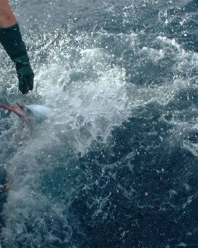 Fishing