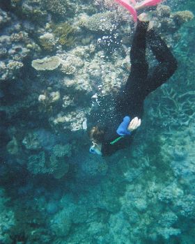 coral bay