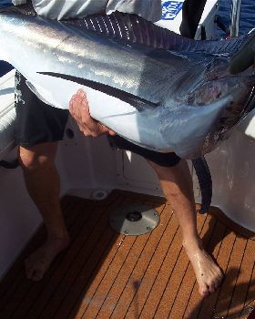 Black Marlin QLD