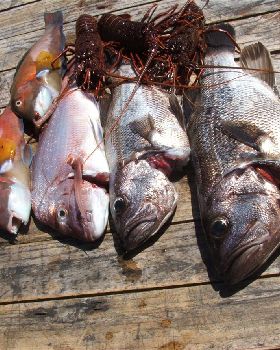 Jurien Bay Trip