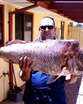 19.5kg snapper caught off Wallaroo SA