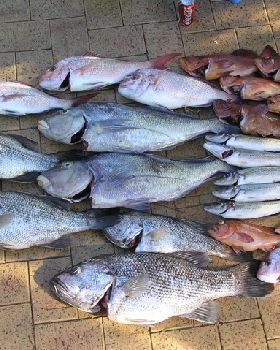Good Day Out on the Bank