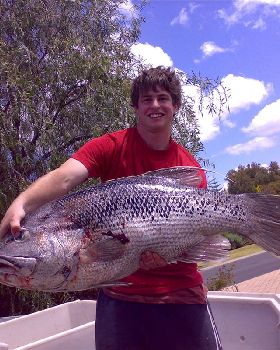 nice catch 