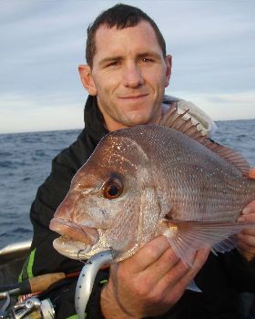 Snapper on Softies