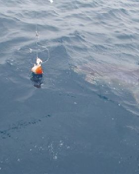 Fishing