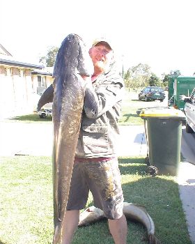 NOT BAD FOR MORETON BAY