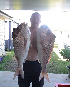 not bad for moreton bay snapper