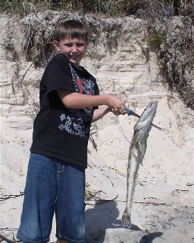 flathead