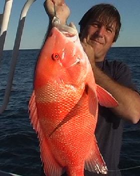 Coral Bay red