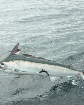 Fishing