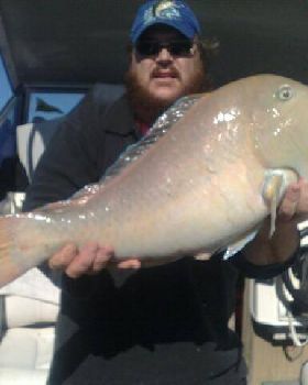 phill of rotto