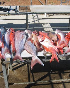 Fishing