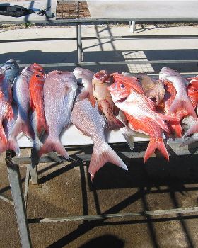 Fishing