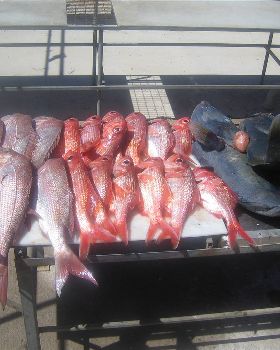 Fishing