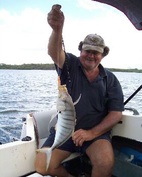 GT Bill