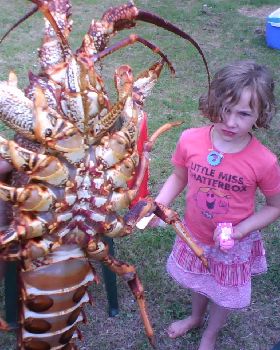 Crayfishing at Granville