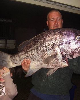 Dhu Fish 95cm long, Caught in Jurien Bay