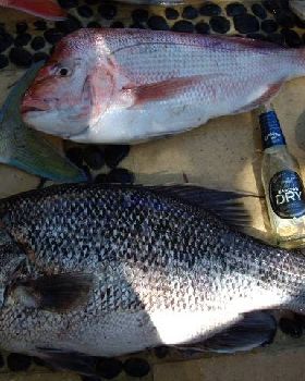 On the bite