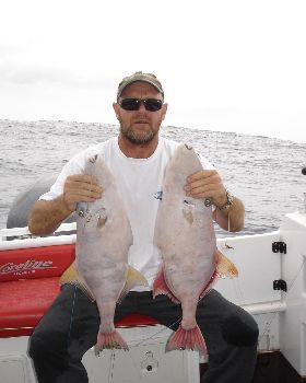 Jeff 's leatherjacket double header