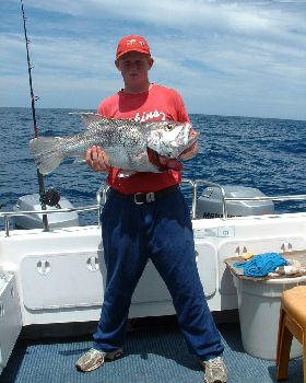 8kg Dhu