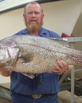18 kg Dhu