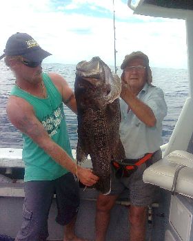 83 yr old pop was on a roll 85cm Dewy