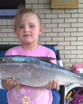not a bad catch for crab bait