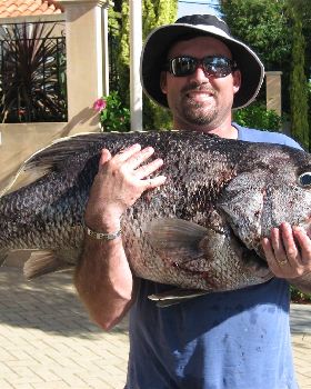 23kg Dhufish