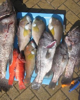 Good catch