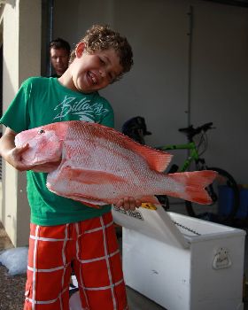 Red Emperor