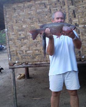 Mangrove jack from the rivermouth