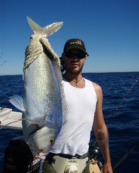 Robs queen snapper